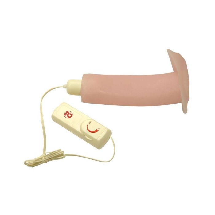 You2toys - Manga nights pussy penisvibrator