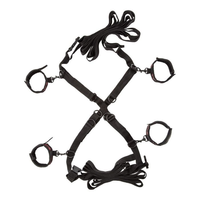 Scandal Over the Bed Cross